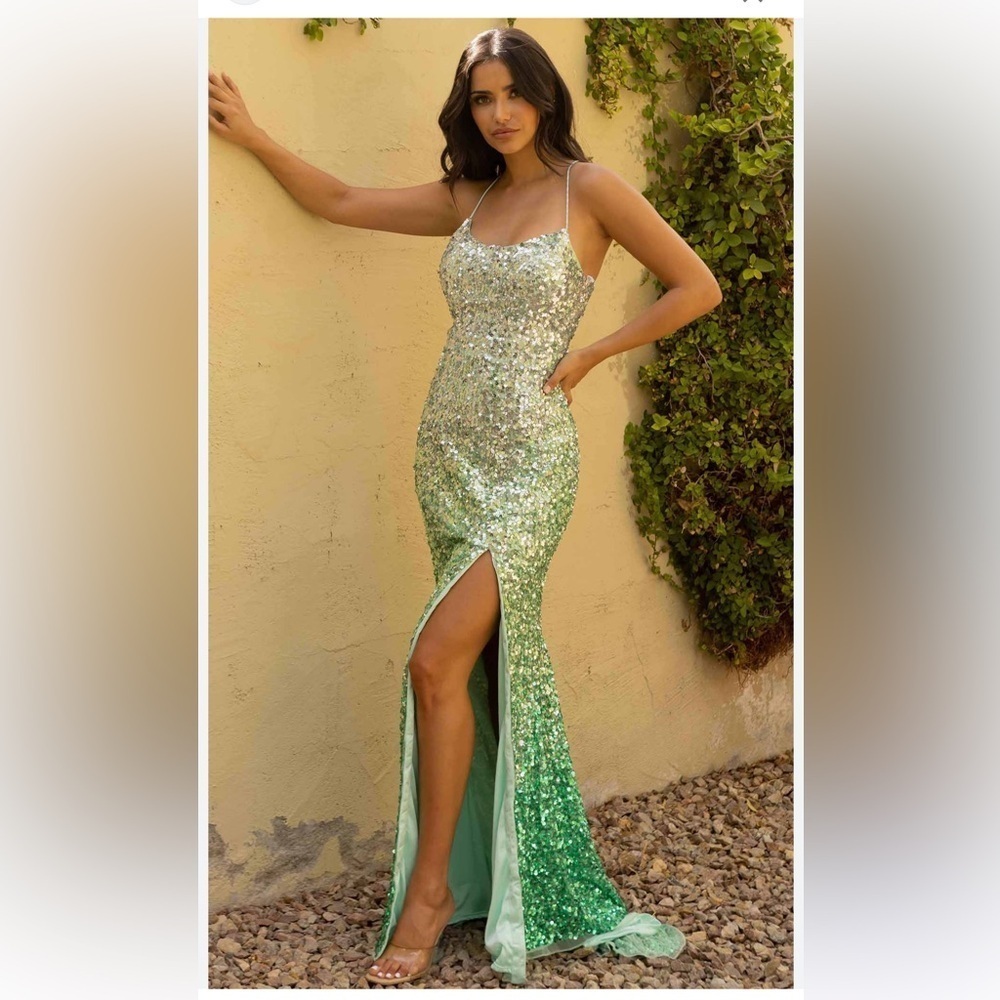Primavera Couture 3916 Scoop neck ombré prom gown bridesmaid gown party dress